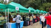 Hops and Crops in Auburn draws crowd for music, drinks