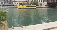 How do we know if the Chicago River is safe to swim in?