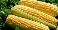 Iowa schools receive funding to buy locally grown foods