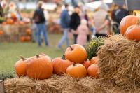 12 Maine Fall Festivals to Experience This Season