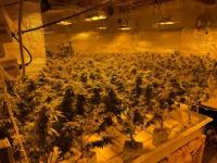 New York woman gets 6 months in prison for Madison, Norridgewock marijuana busts