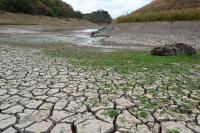 El Niño Drought Could Leave 16 Million Without Enough Food Throughout Latin America.