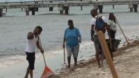 Government explores offshore solution to sargassum invasion