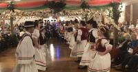 First Hungarian Harvest Festival launches next weekend