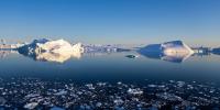 Antarctic, Greenland Sheets Have Melted Enough Since the '70s to Cover US in 5 Feet of Ice