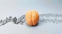 The music in psychedelic therapy may be more than background sound