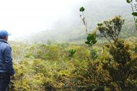 Colombia is the Deadliest Country in the World for Environmental Defenders