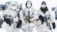 Canada wants into Britain's rapid-response defence club