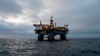 Court halts Sea Lion project in Malvinas, orders environmental impact assessment