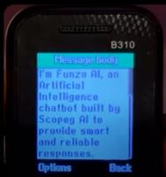 Ghanaian tech professionals develop SMS-based AI tool for non-smartphones