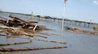 Alert on the Argentine Coast: Historic Floods of the Paraná River Due to El Niño and Rains in Brazil