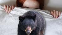 Colorado Teen Avoids Injury By Hiding Under Blankets After Bear Climbed Through Her Bedroom Window In The Middle Of The Night