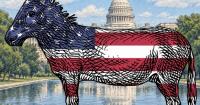 Can the Democratic Party regain trust and political power?