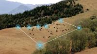 Virtual Fencing Partnership Expands Access to Public Grazing Land in New Mexico, Wyoming