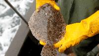 North Carolina announces 2026 commercial flounder season opening dates