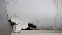 North Carolina city bars landlords from collecting rent on units deemed unsafe