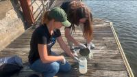 Study finds fecal contamination at 64% of sampled Wisconsin water sites