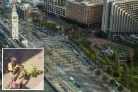 San Francisco residents fume as iconic trees are axed in $40M park revamp