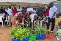 Wetland farming puts Namutumba communities at greater climate risk
