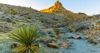 Could Utah’s ‘zombie mine’ have another life?