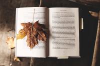 My Top 5 Autumn Book Picks