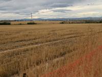 Mormon Church expands $28bn US land portfolio with new Denver suburb