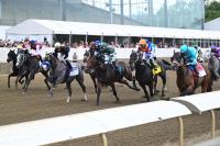 Officials express confidence in bet on horse racing industry