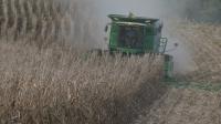 Nebraska Farm Bureau predicts massive loss of profit