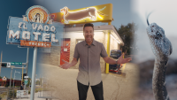 Albuquerque: Route 66 kitsch at the crossroads in New Mexico