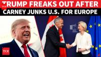 'EUROPE WILL PAY': Carney Humiliates Trump; U.S. President Freaks Out Over Canada's Big Snub | WATCH