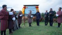 Why did Jaishankar hand over 43 Jersey cows to Bhutan? Know the reason behind India's unique gesture