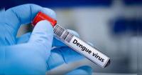 Climate signals, El Nino conditions can help predict dengue risk months in advance: study