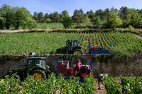 Gene-Silencing Biopesticides Could Transform Australia's $50 Billion Cropping Industry, Researchers Say