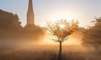 Britain could be hit by SIXTH heatwave of the year next week, Met Office says as forecaster predicts temperatures could hit 29C in the South