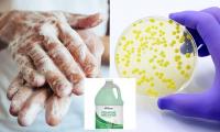 Popular liquid soap recalled in 15 states after products were found to be potentially contaminated with MULTIPLE types of bacteria
