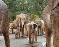 The Great Elephant Migration stomps out of Boston’s Back Bay
