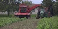 Diesel prices squeeze Michigan farmers during fall harvest