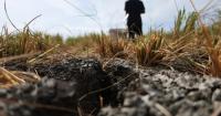 Guatemala to provide food aid as El Nino causes severe drought