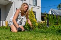 Everyone complimented his perfect lawn, but the 'grass' was actually a weed that had taken over the entire yard