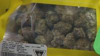 Judge delays ruling on Menominee marijuana license referendum petition challenge