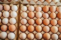 Hawaiʻi to get 1 million eggs as part of federal price-fixing settlement with an Arizona farm