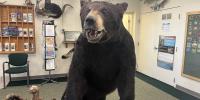 Michigan DNR looking for applicants for the UP Citizens’ Advisory Council