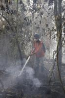 Indonesia president calls for stricter sanctions against forest fire perpetrators