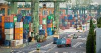 Singapore's non-oil exports jump 46.2% in August amid sustained AI-related demand