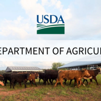 USDA launches new tool to modernize access to agricultural data