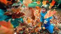 2026 fall foliage map: When Middle Tennessee leaves will reach peak color