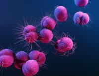 Environmental testing underway after multiple children diagnosed with Ewing sarcoma