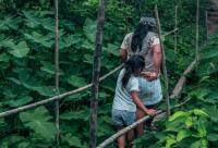 124 Defenders Killed for Protecting Land and Nature