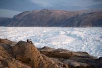 Greenland and Antarctica lost 12 trillion tons of ice in 47 years