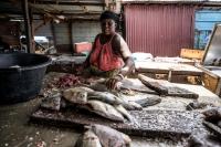 Gambian businesses struggle under prolonged blackouts